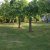 campingyuste (4)